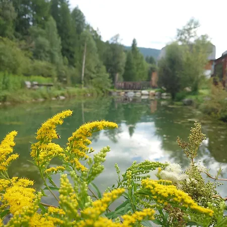 Lejlighed Premium Tauernstyle Golling