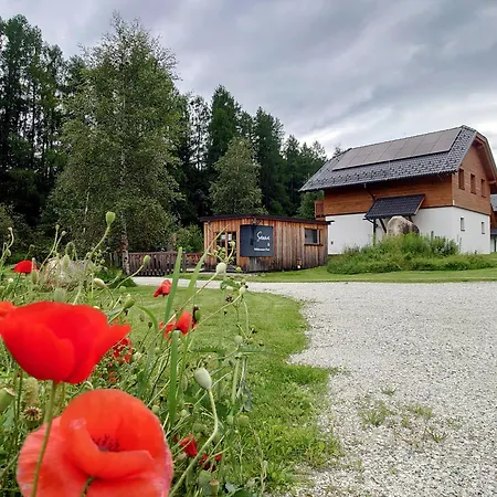 Premium Tauernstyle Golling Mariapfarr