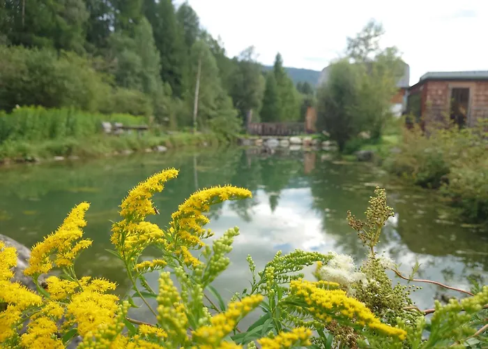 Lägenhet Premium Tauernstyle Golling